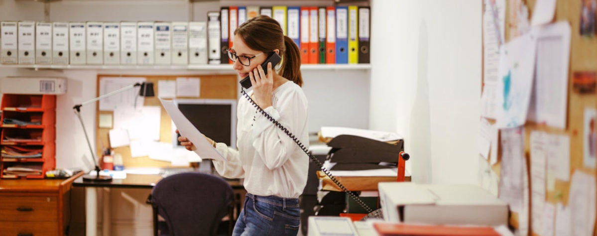 blue acorn phone number in scottsdale arizona blue acorn phone number in scottsdale arizona